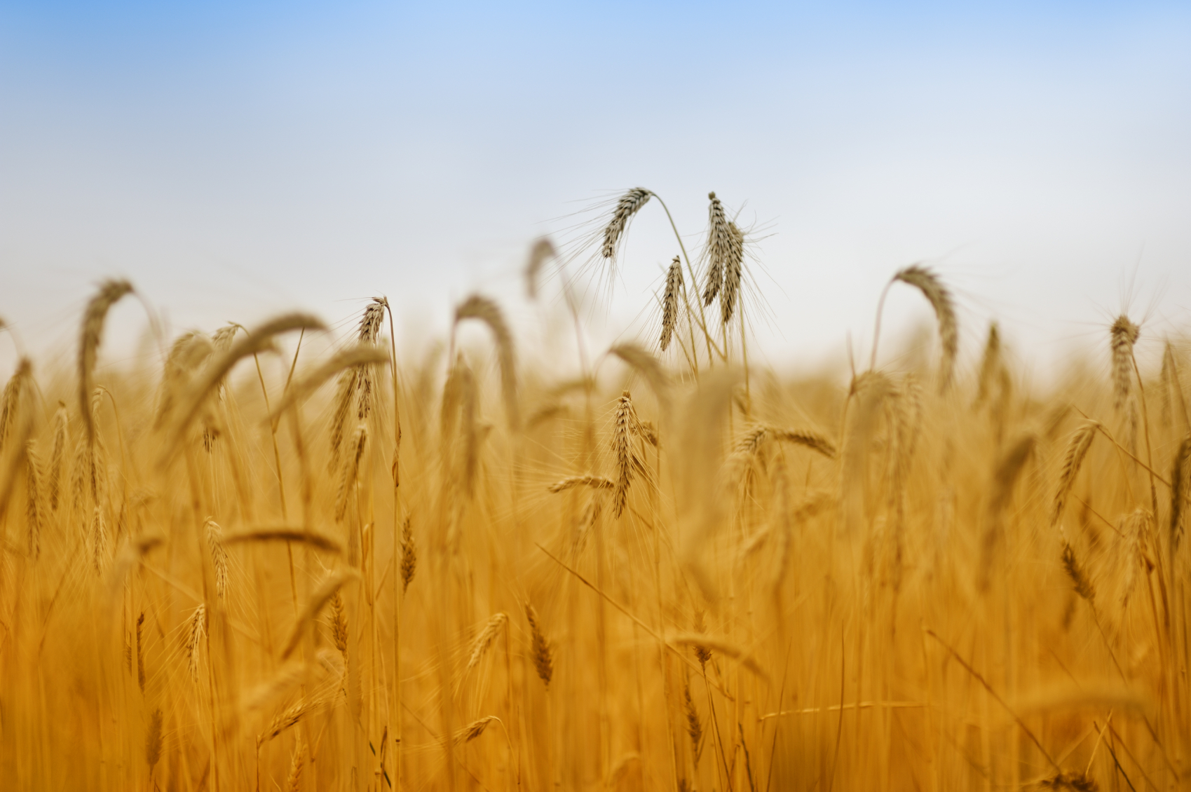 Platteland loopt leeg