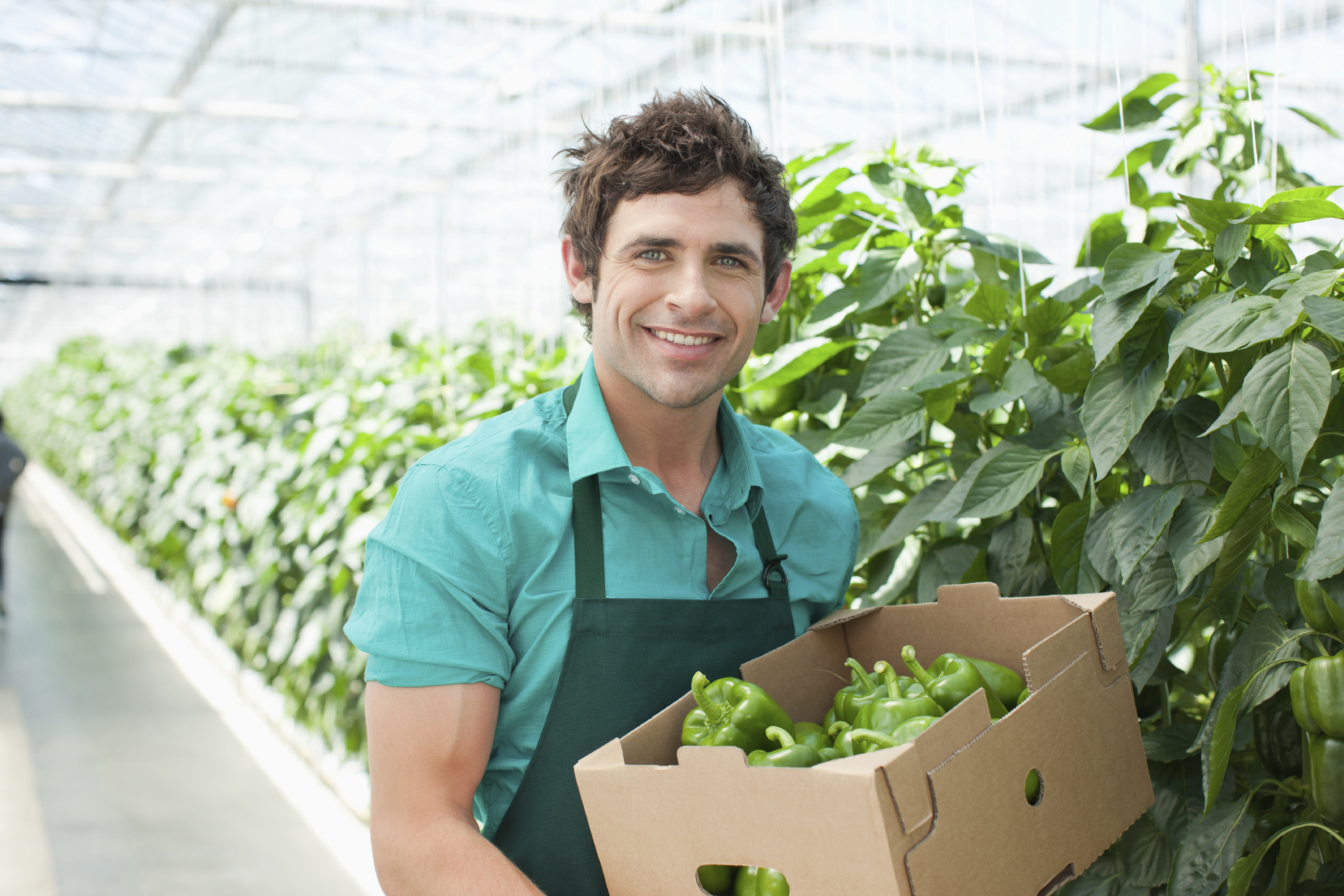 Is vertical farming de oplossing voor leegstaande kantoren?