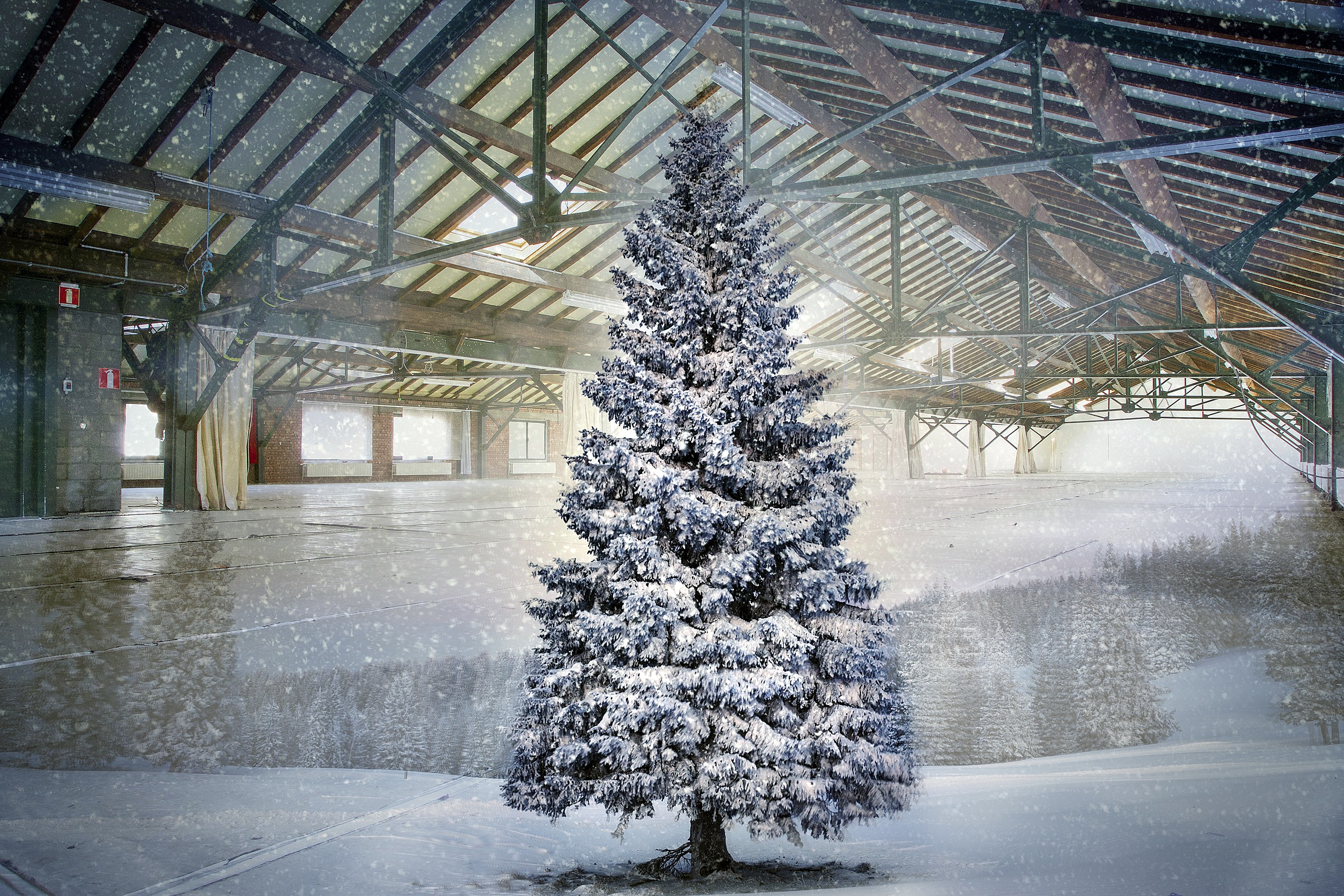 Zalige kerstdagen en een gezegend 2024