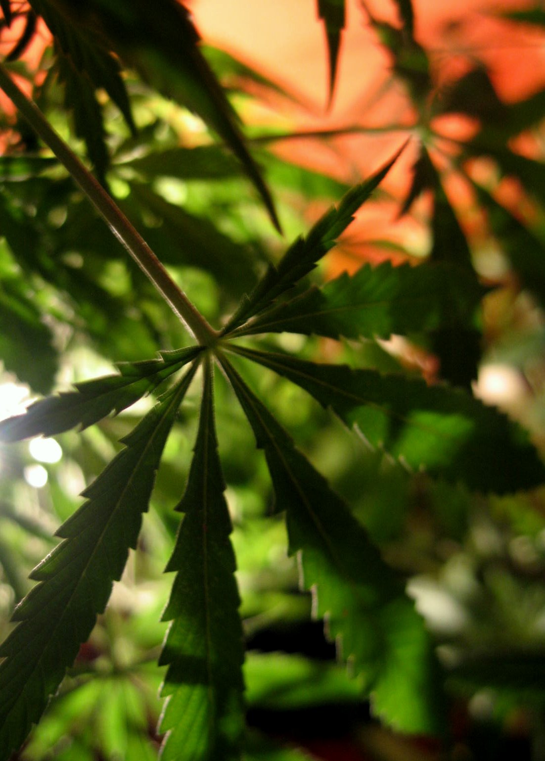 Controleren van huurders nieuw beroep