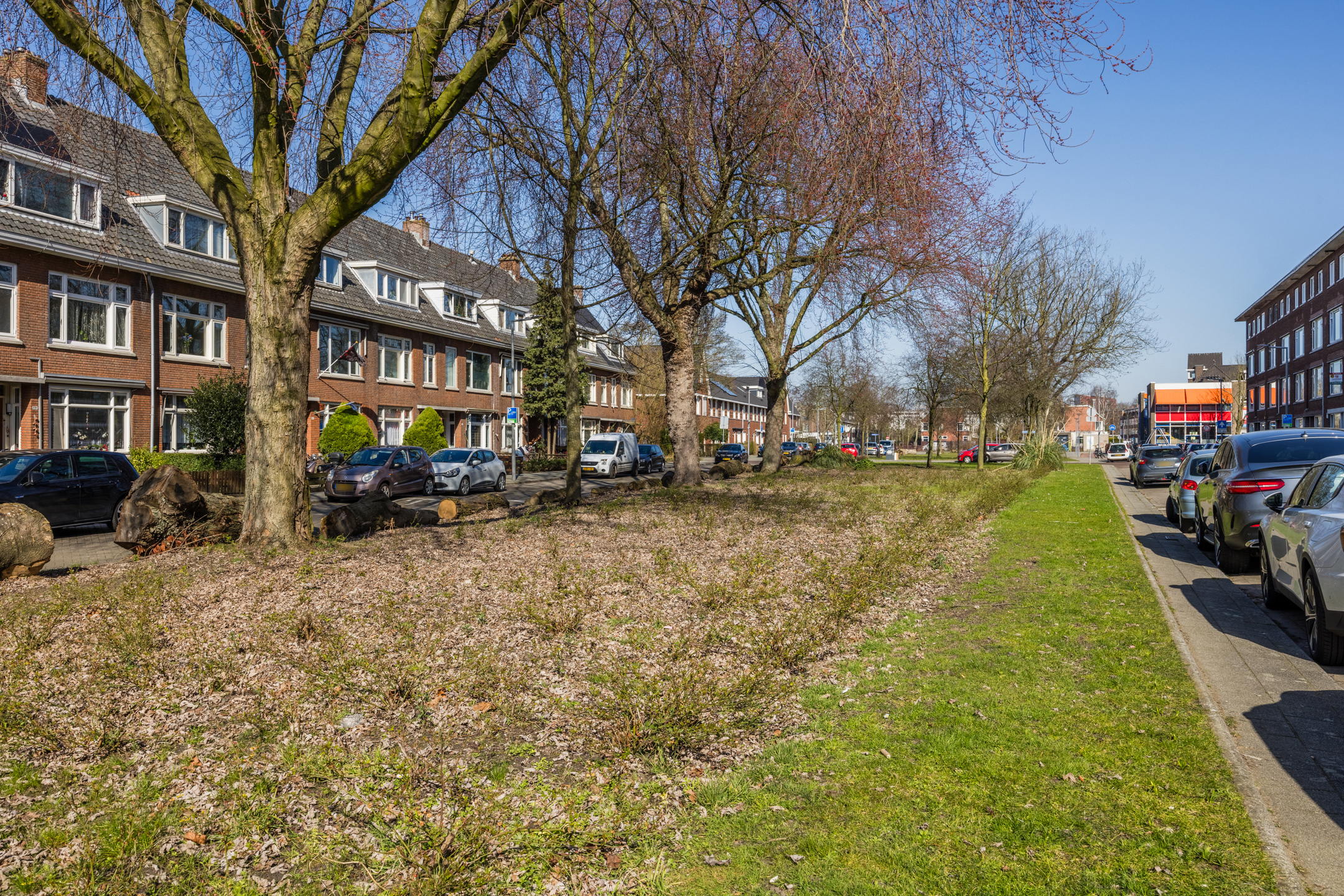 Groen straat Rotterdam
